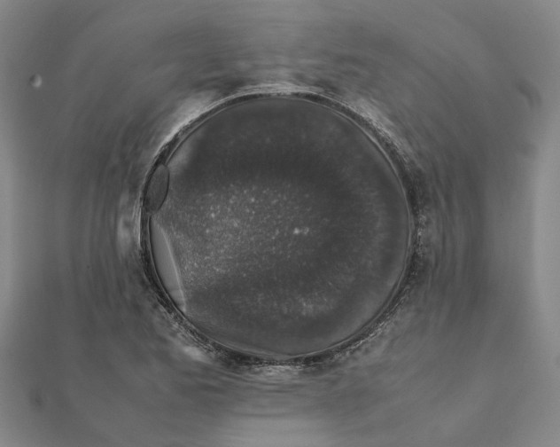 X0000112111173200908251205