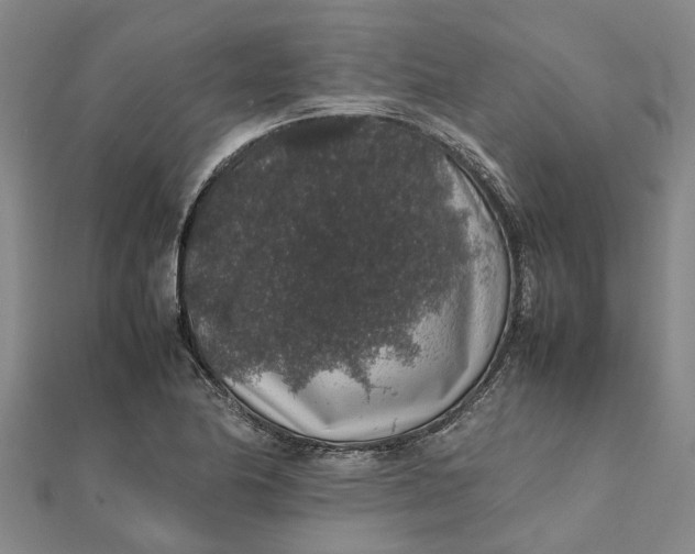 X0000112111174200908251205