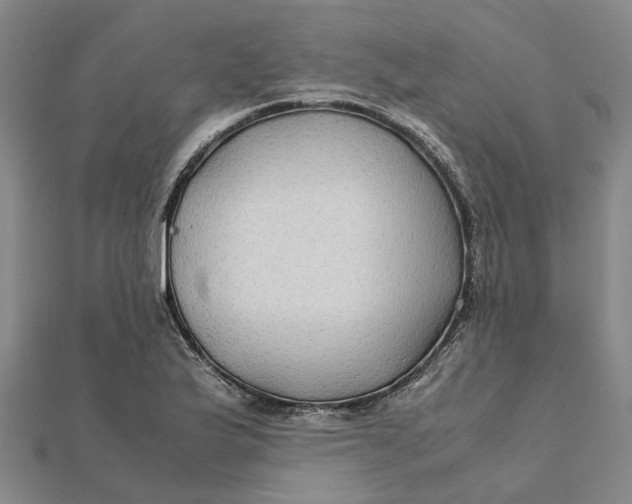 X0000112111175200908251205