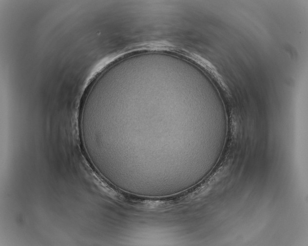 X0000112111176200908251205