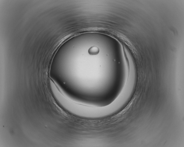 X0000112111177200908251205