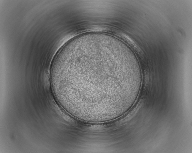 X0000112111178200908251205