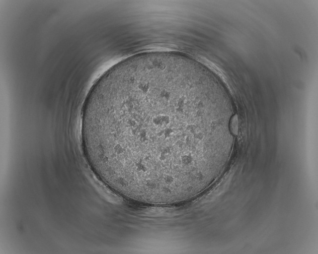 X0000112111179200908251205