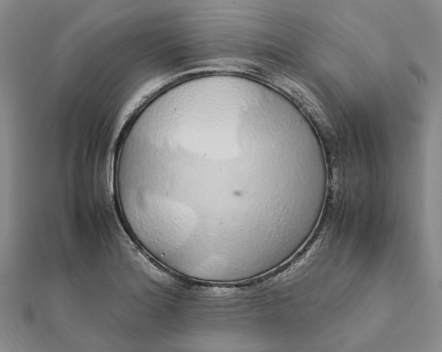 X0000112111180200908251205