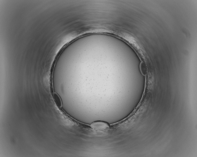 X0000112111181200908251205