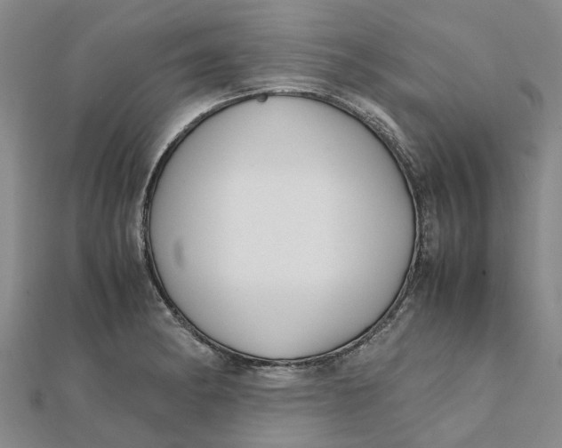 X0000112111182200908251205