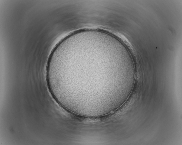 X0000112111183200908251205