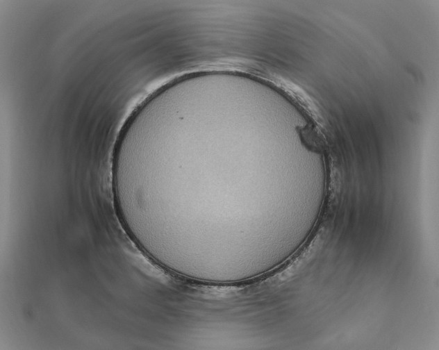 X0000112111184200908251205