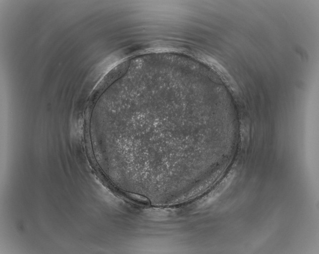 X0000112111185200908251205