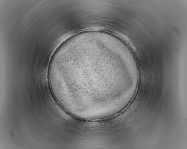 X0000112111186200908251205