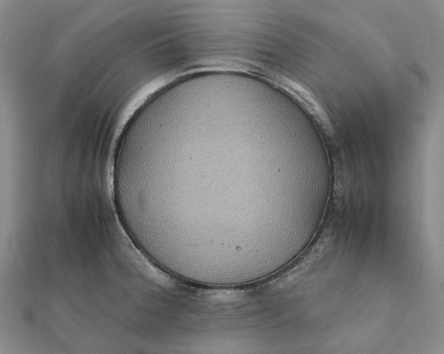 X0000112111188200908251205