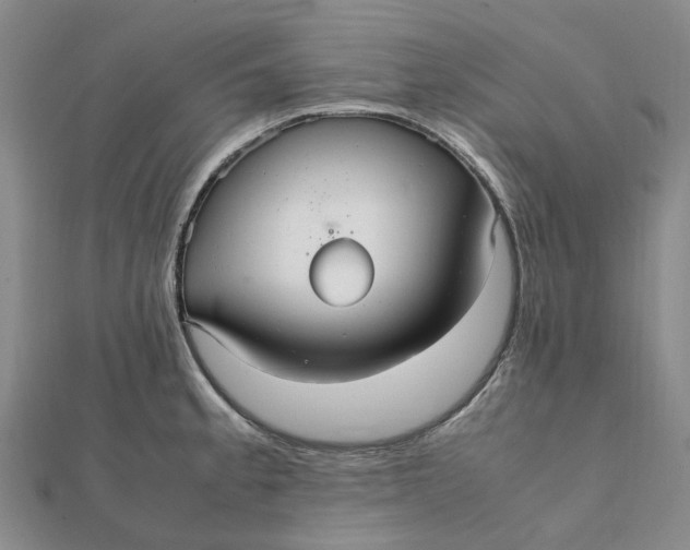 X0000112111189200908251205