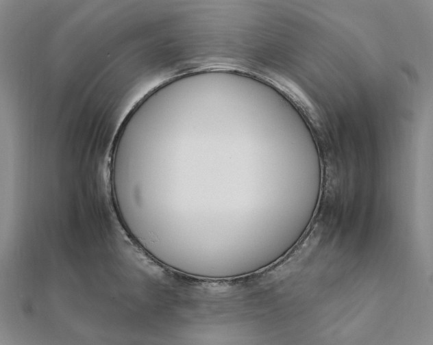 X0000112111190200908251205