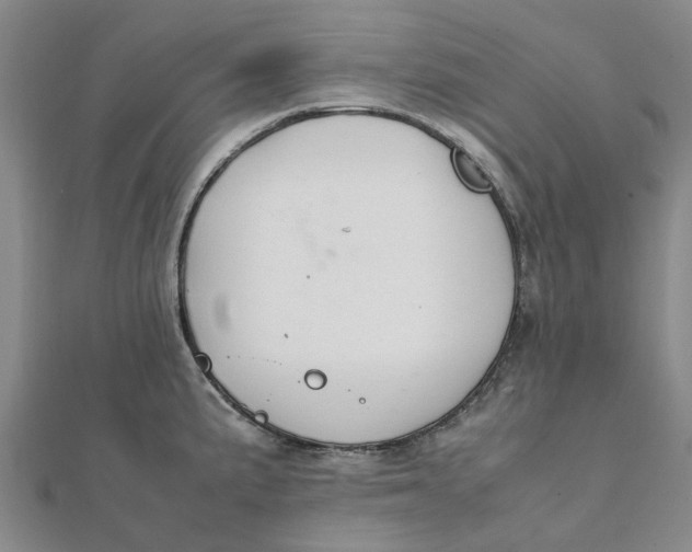 X0000112111191200908251205