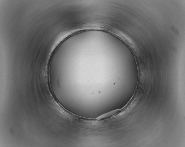 X0000112111192200908251205