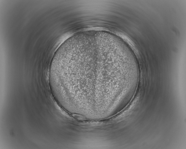 X0000112111193200908251205