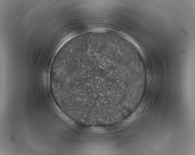 X0000112111194200908251205