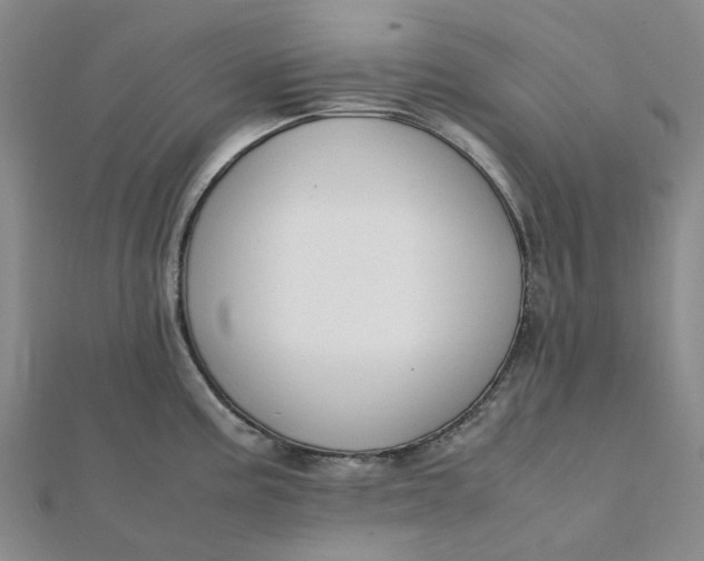 X0000112111195200908251205