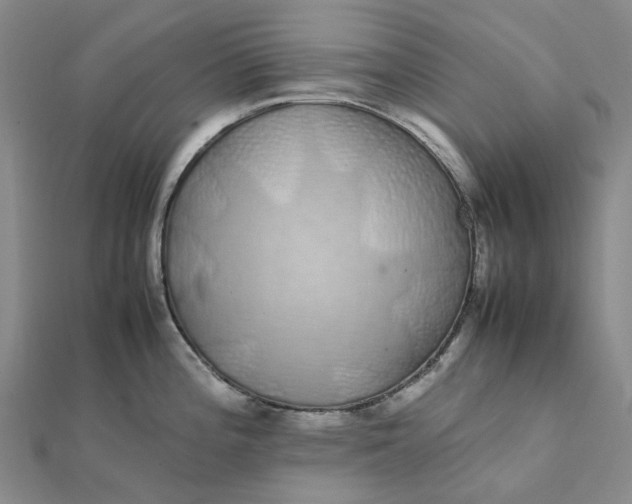 X0000112111196200908251204