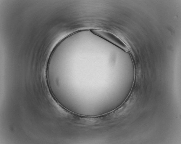 X0000112111197200908251204