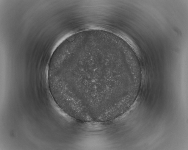 X0000112111198200908251204