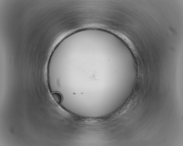 X0000112111199200908251204