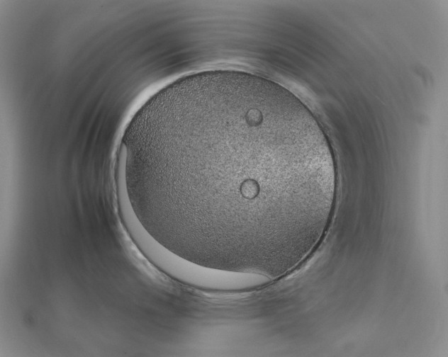 X0000112111200200908251204