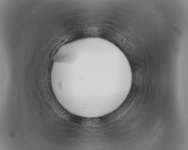 X0000112111201200908251204