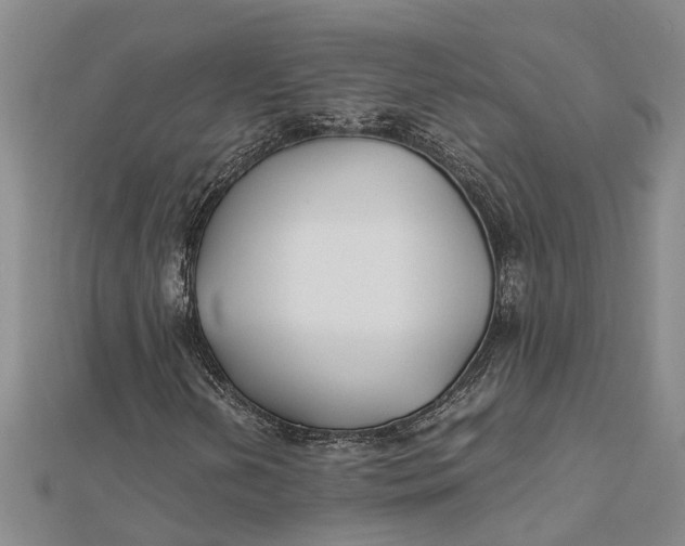 X0000112111202200908251204