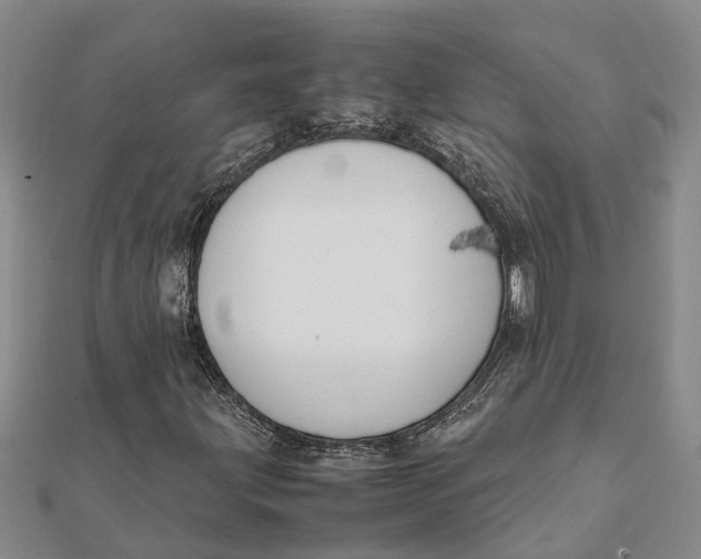 X0000112111203200908251204