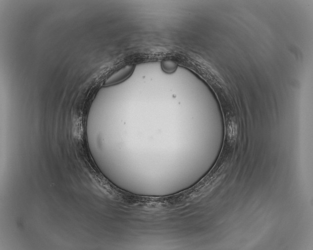 X0000112111204200908251204