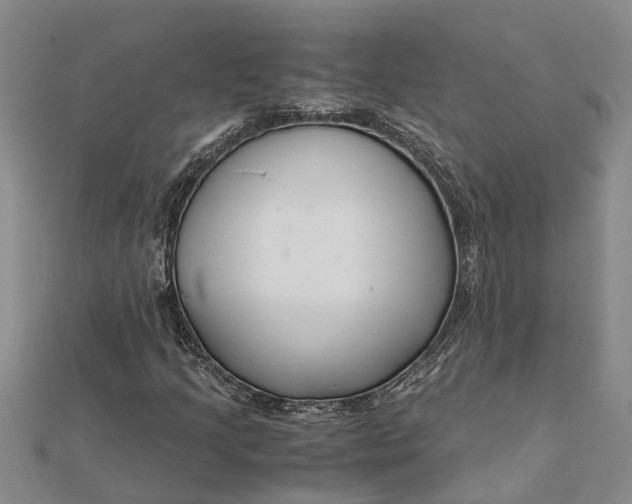 X0000112111205200908251204