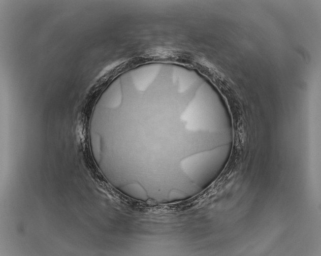 X0000112111206200908251204