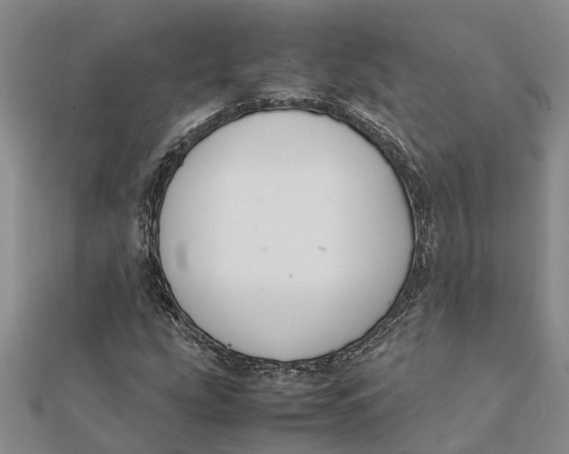 X0000112111207200908251204