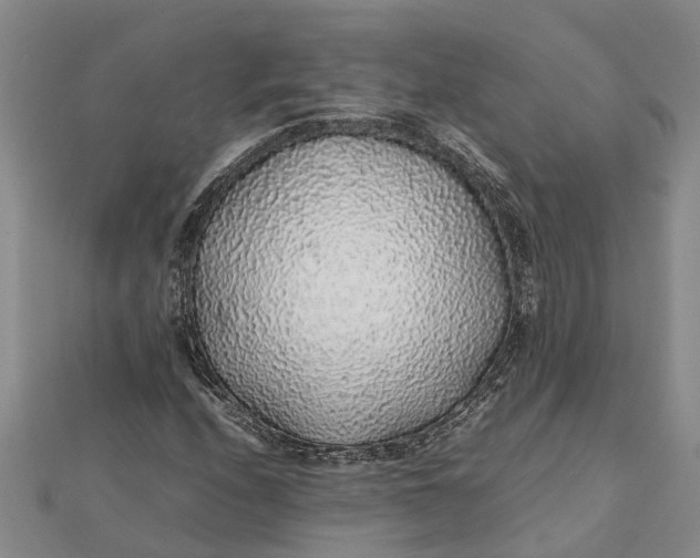 X0000112111208200908251204