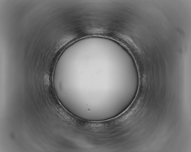 X0000112111209200908251204