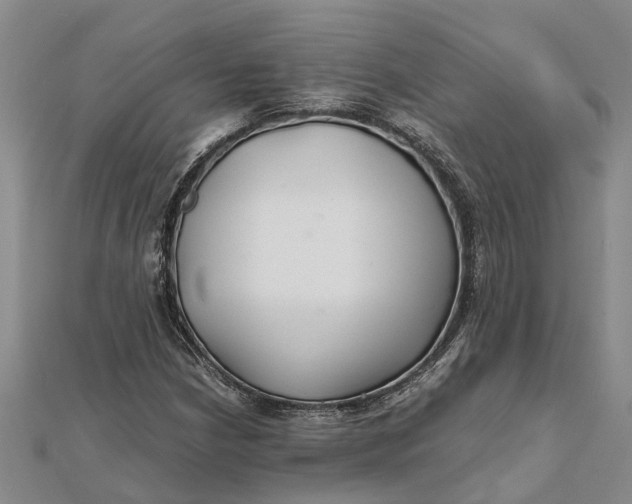 X0000112111210200908251204