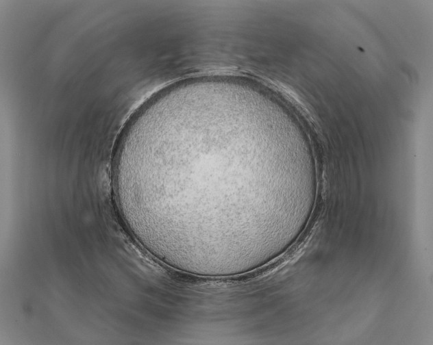 X0000112111212200908251204