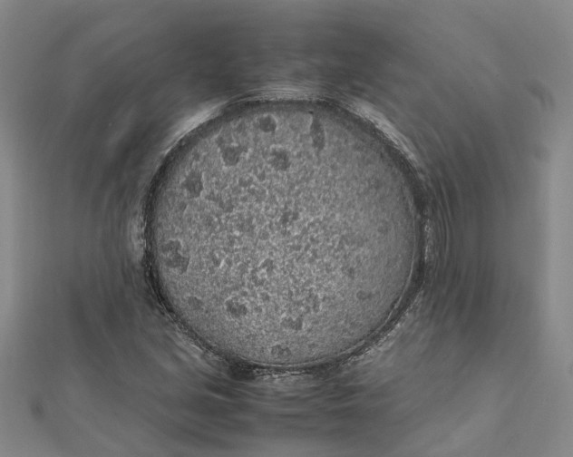 X0000112111213200908251204