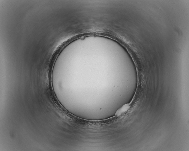 X0000112111214200908251204