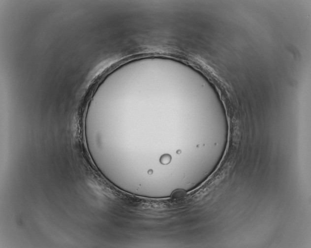 X0000112111215200908251204