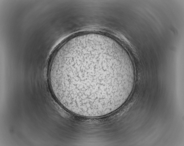 X0000112111216200908251204