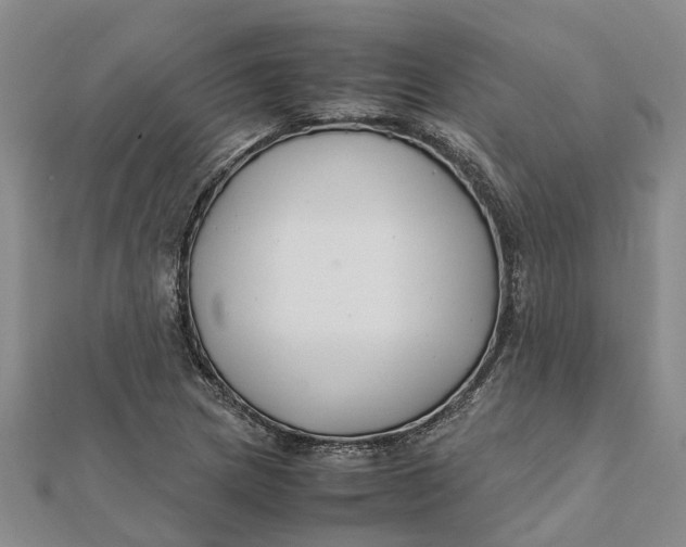 X0000112111217200908251204