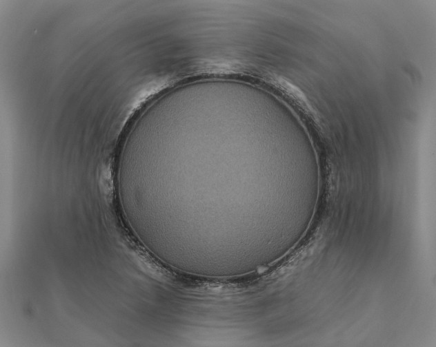 X0000112111218200908251204