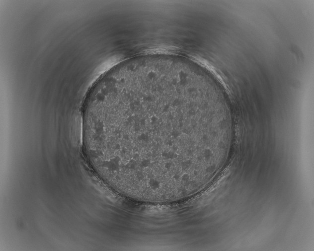 X0000112111219200908251204