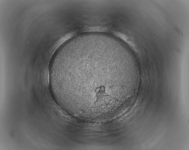 X0000112111221200908251204