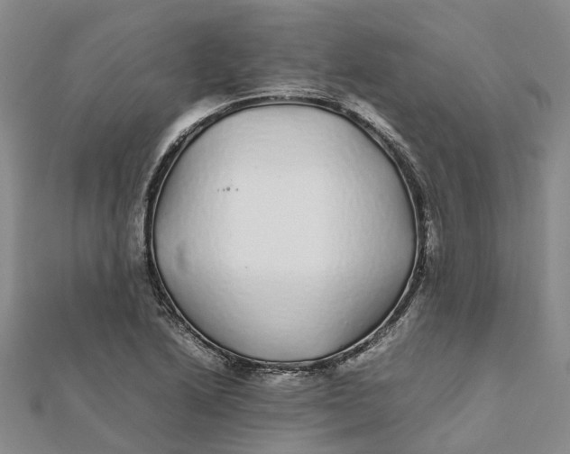 X0000112111222200908251204