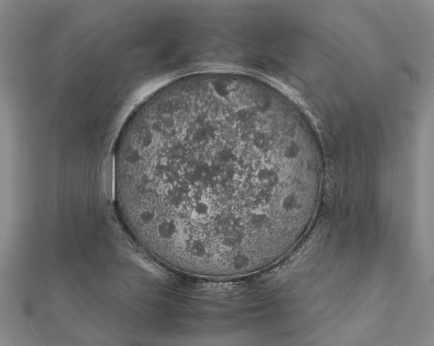 X0000112111223200908251204