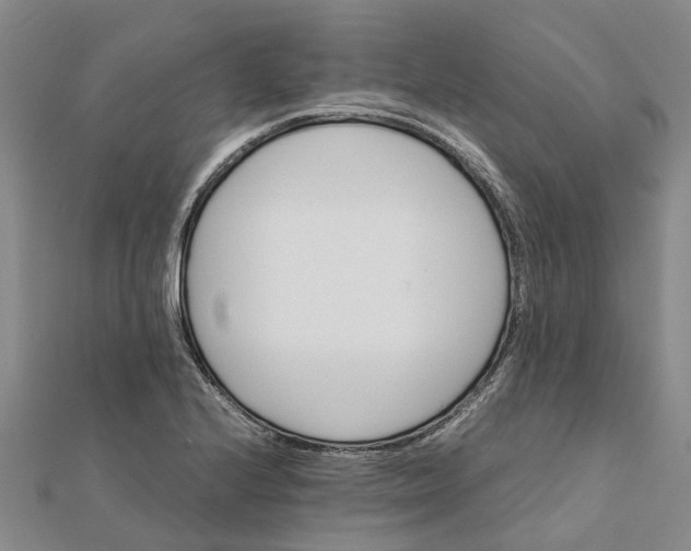 X0000112111224200908251204