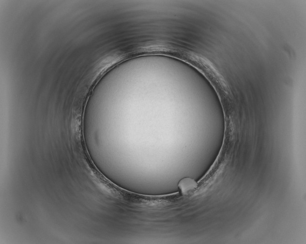 X0000112111225200908251204